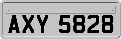 AXY5828