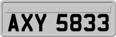 AXY5833