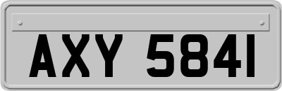 AXY5841