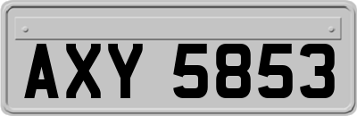 AXY5853