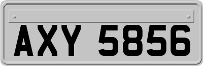 AXY5856