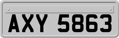 AXY5863