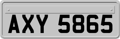 AXY5865