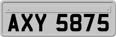 AXY5875