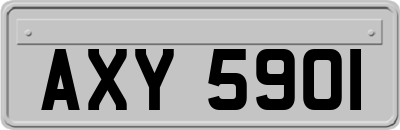 AXY5901