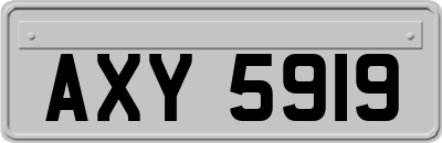 AXY5919