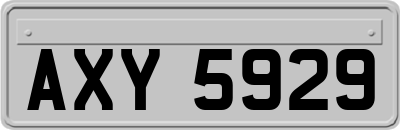 AXY5929