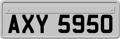 AXY5950