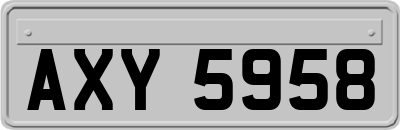 AXY5958