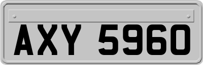 AXY5960