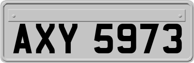 AXY5973