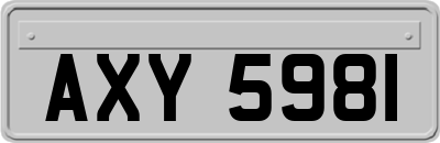 AXY5981