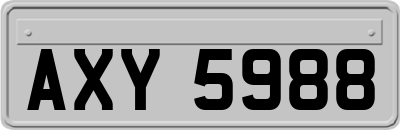 AXY5988