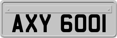AXY6001
