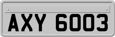 AXY6003