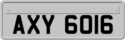 AXY6016