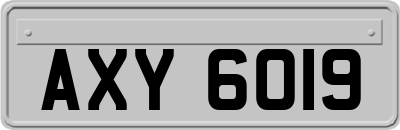 AXY6019