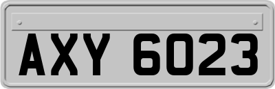 AXY6023