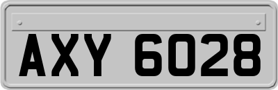 AXY6028