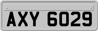 AXY6029