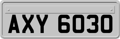 AXY6030
