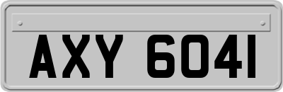 AXY6041