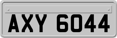 AXY6044