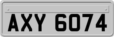 AXY6074