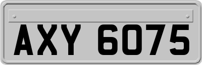 AXY6075