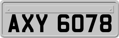 AXY6078