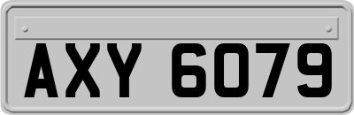 AXY6079