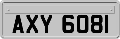 AXY6081