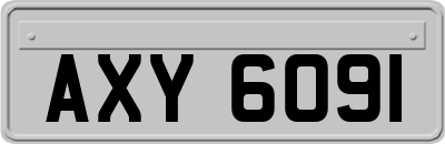 AXY6091