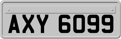 AXY6099