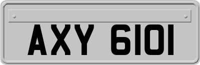 AXY6101