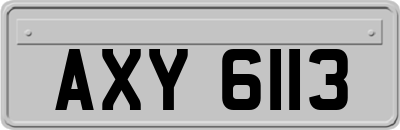 AXY6113