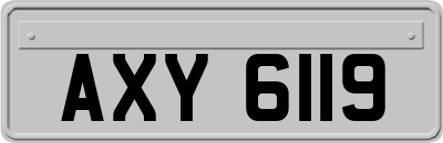 AXY6119