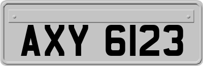 AXY6123