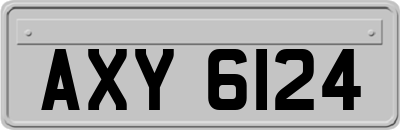 AXY6124