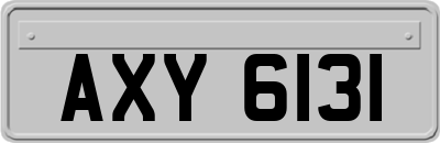AXY6131