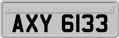 AXY6133