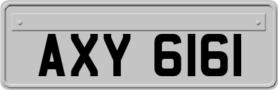 AXY6161