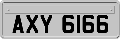 AXY6166