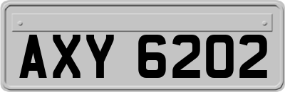 AXY6202