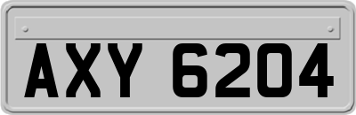 AXY6204