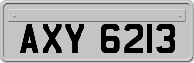 AXY6213