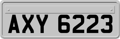 AXY6223
