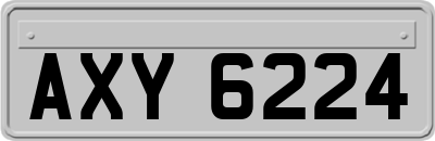 AXY6224