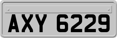 AXY6229