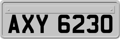 AXY6230